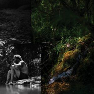 Zwaluwe (Vinyl) - Myrddin & Imre