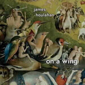 On A Wing - James Houlahan