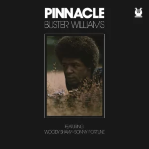 Pinnacle (Vinyl) - Buster Williams