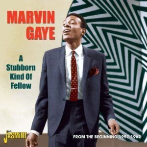 A Stubborn Kind Of Fellow - Marvin Gaye