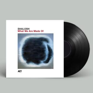 What We Are Made Of (Vinyl) - Shalosh