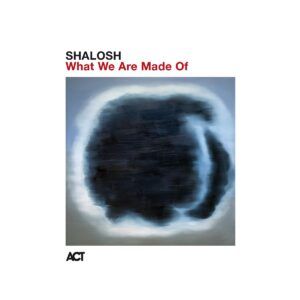 What We Are Made Of - Shalosh