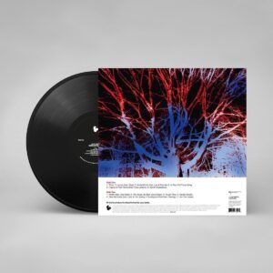 Deadline Season (Vinyl) - Lucy Liebe