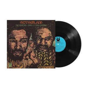 Motherland (Vinyl) - The Visitors