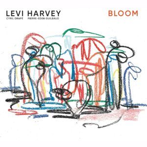 Bloom (Vinyl) - Levi Harvey