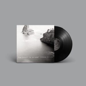 Dylan Mattingly: The Wild Hear (Vinyl) - Contemporaneous & David Bloom