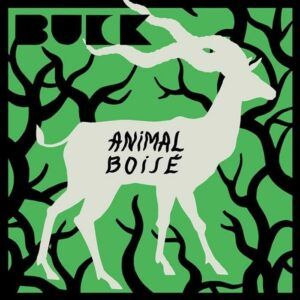 Animal Boisé - Buck