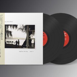 Magnificent Little Dudes Vol. 2 (Vinyl) - Chihei Hatakeyama & Shun Ishiwaka