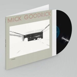 In Pas(s)ing (Vinyl) - Mick Goodrick