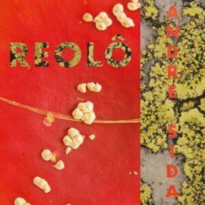 Andre Sida (Vinyl) - Reolo