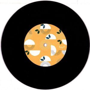 A Paraiba Nao E / Chicago (Vinyl) - Marcos Valle