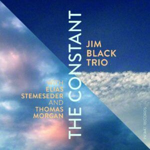 The Constant - Jim Black Trio