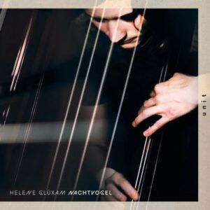 Nachtvogel - Helene Glüxam