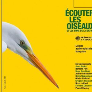 Ecouter Les Oiseaux Et Les Sons De La Nature