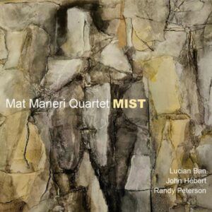 Mist - Mat Maneri Quartet