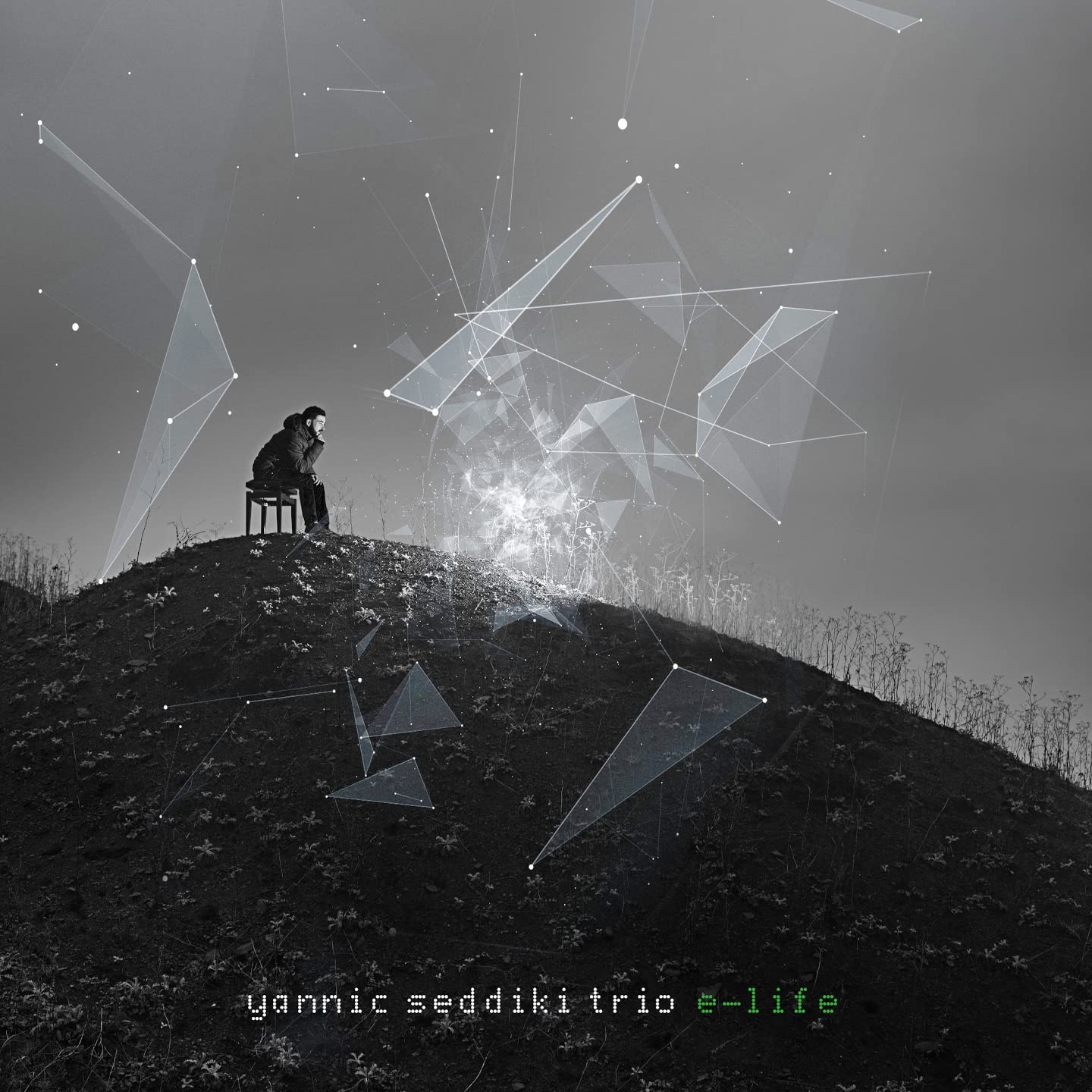 E-Life (Vinyl) - Yannic Seddiki Trio