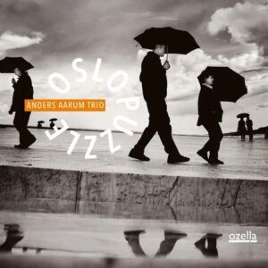Oslo Puzzle (Vinyl) - Anders Aarum Trio