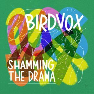 Shamming The Drama (Vinyl) - Birdvox