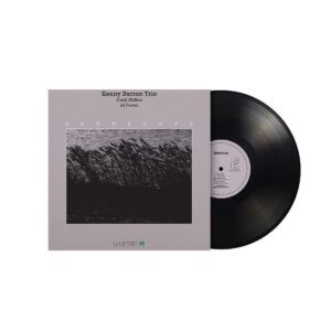 Landscape (Vinyl) - Kenny Barron Trio
