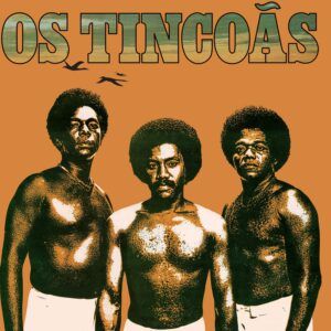 Os Tincoas (Vinyl) - Os Tincoas