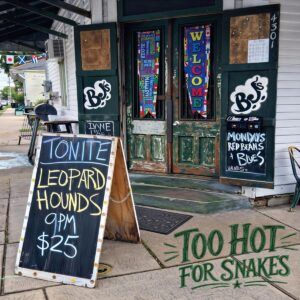 Too Hot For Snakes - Leopard Hounds