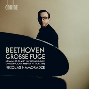 Beethoven: Grosse Fuge - Nicolas Namoradze