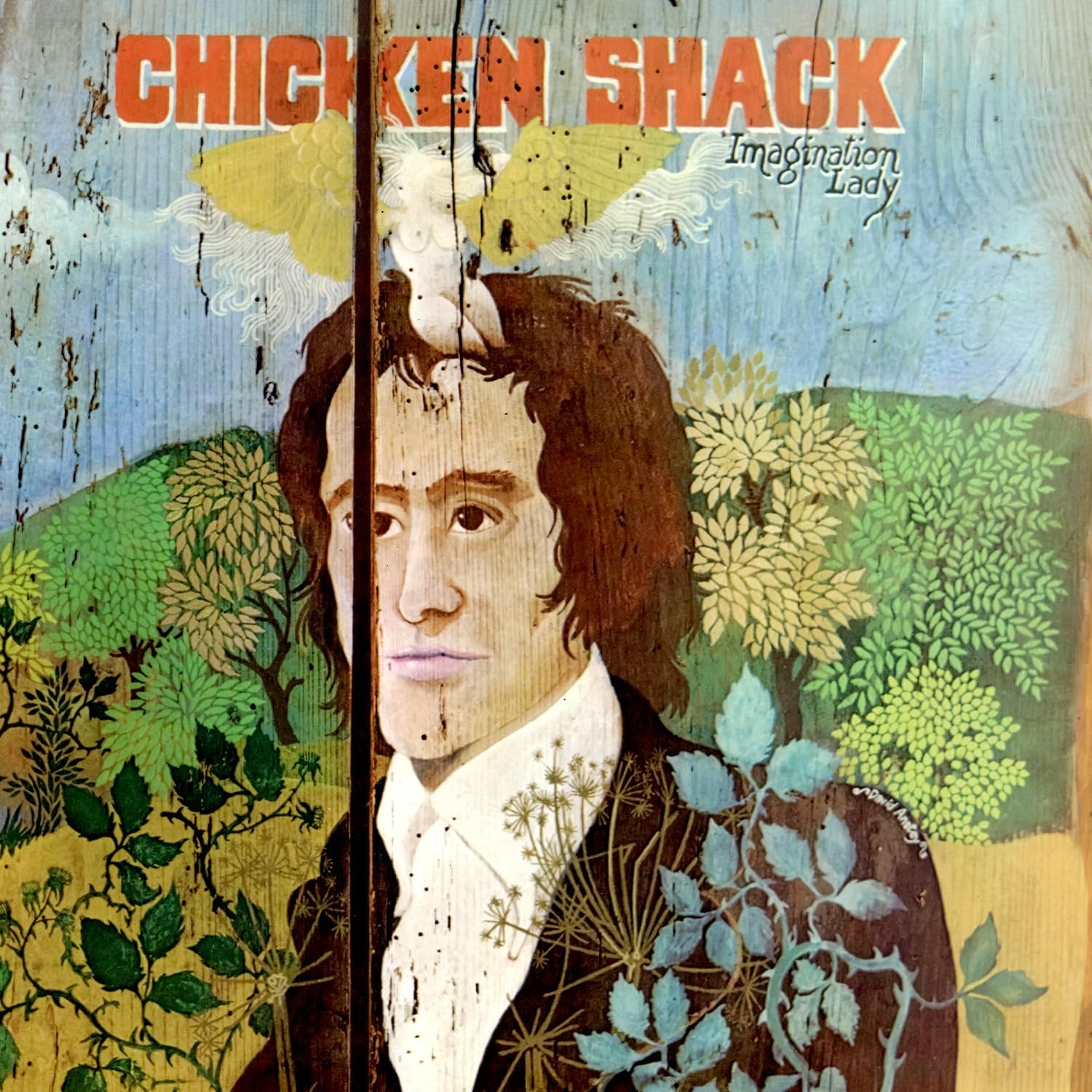 Imagination Lady (Vinyl) - Chicken Shack