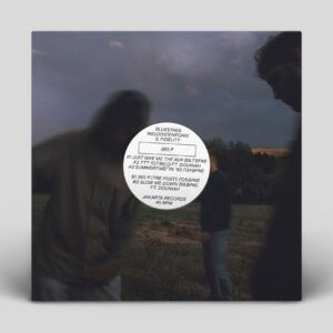 365 P (Vinyl) - Bluestaeb