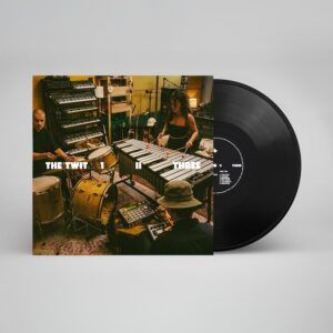 The Twit 1, II, Three (Vinyl) - The Twit 1, II, Three
