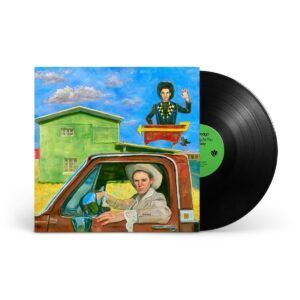 I'll Be Waving As You Drive Away (Vinyl) - Hayden Pedigo