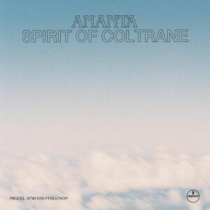 Ananta: Spirit Of Coltrane (Vinyl) - Miguel Atwood-Ferguson
