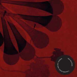 Red Sulphur - Tyshawn Sorey & Pat Thomas