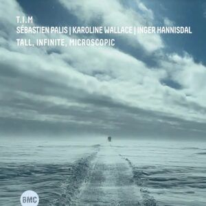 Tall, Infinite, Microscopic - Karoline Wallace