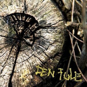 Den Fule (Vinyl) - Den Fule
