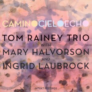 Camino Cielo Echo - Tom Rainey Trio
